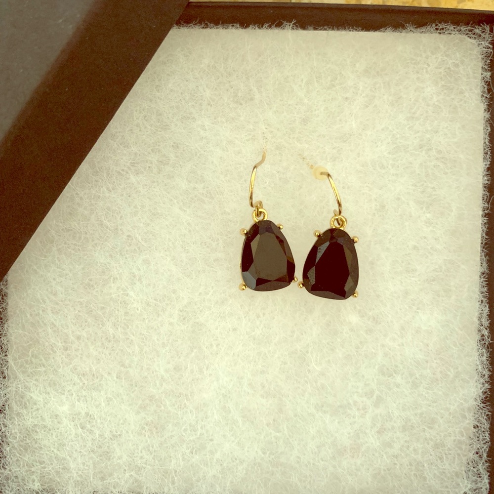 Charming Charlie Earrings